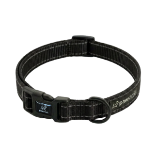 Black Everyday Dog Collar