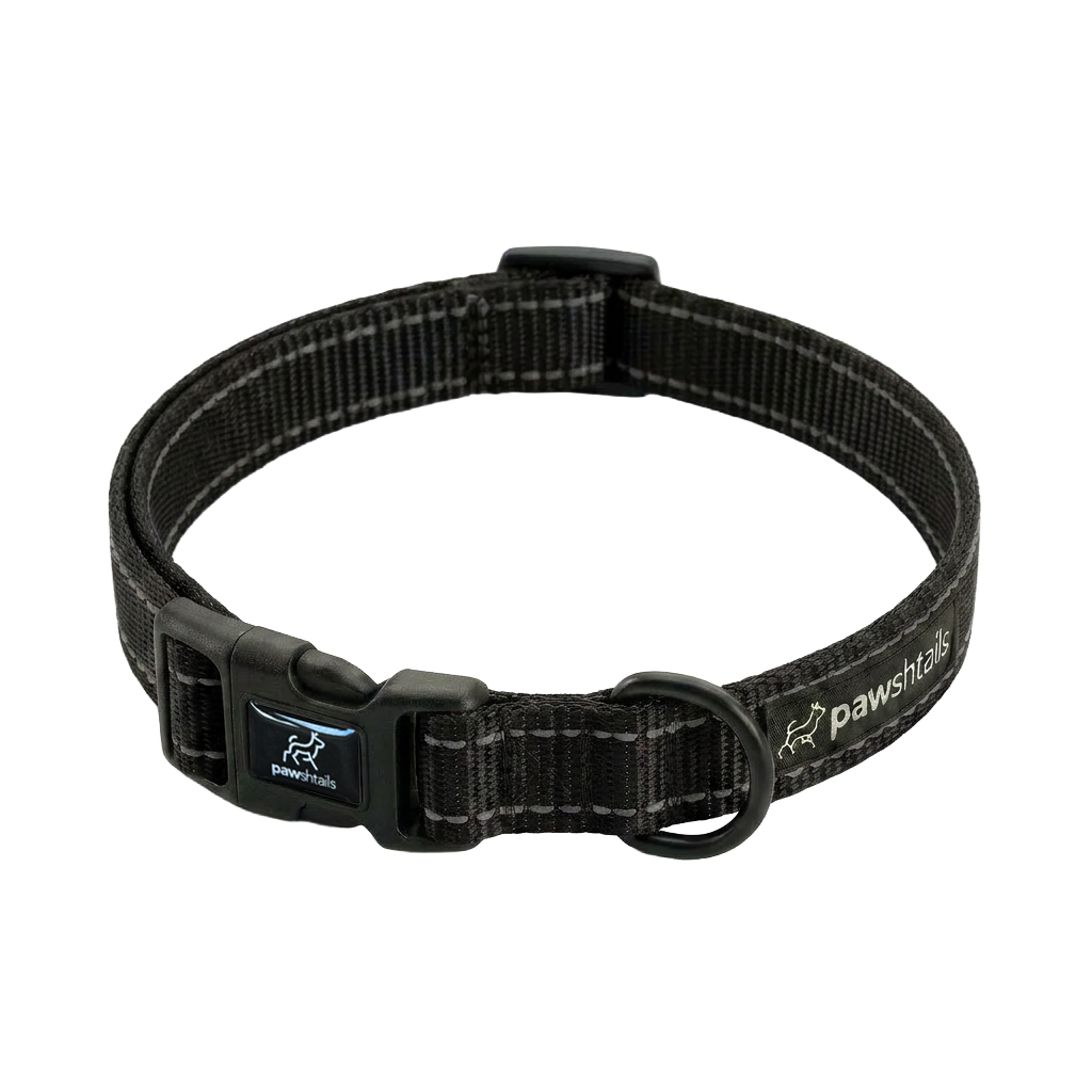 Everyday Dog Collar