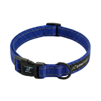 Blue Everyday Dog Collar