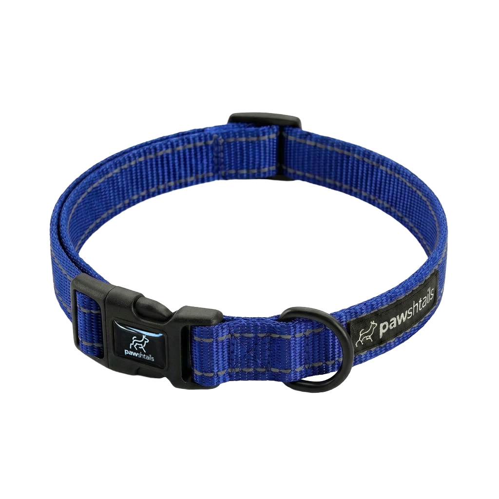 Everyday Dog Collar