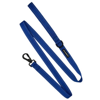 Blue Functional Lead