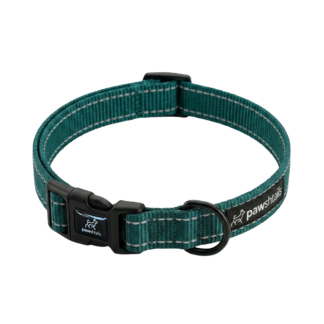 Emerald Green Everyday Dog Collar