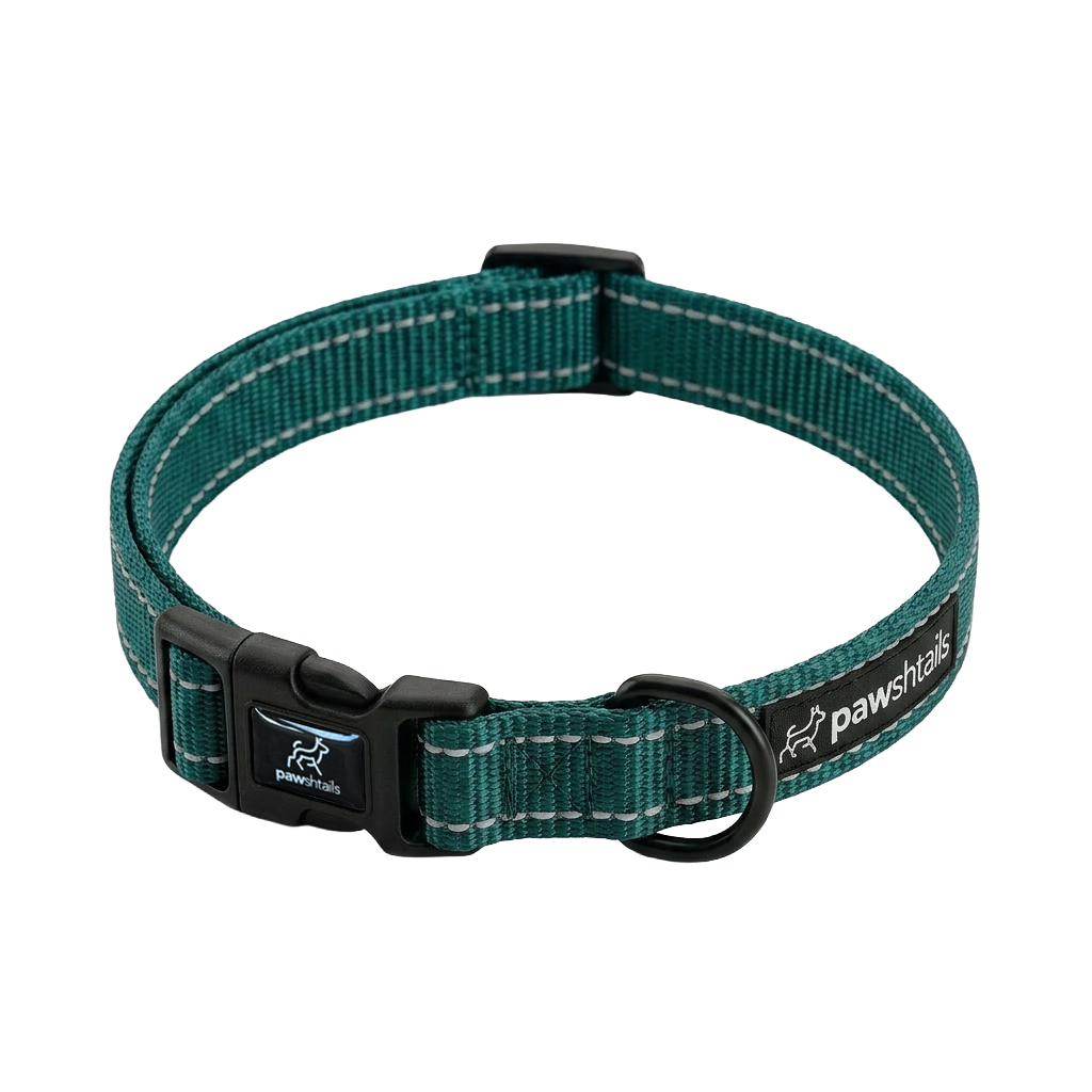 Everyday Dog Collar