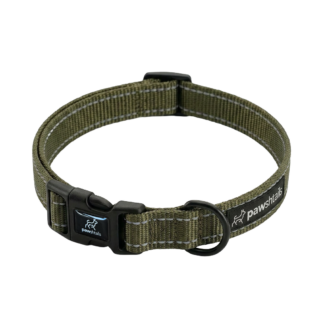 Khaki Everyday Dog Collar