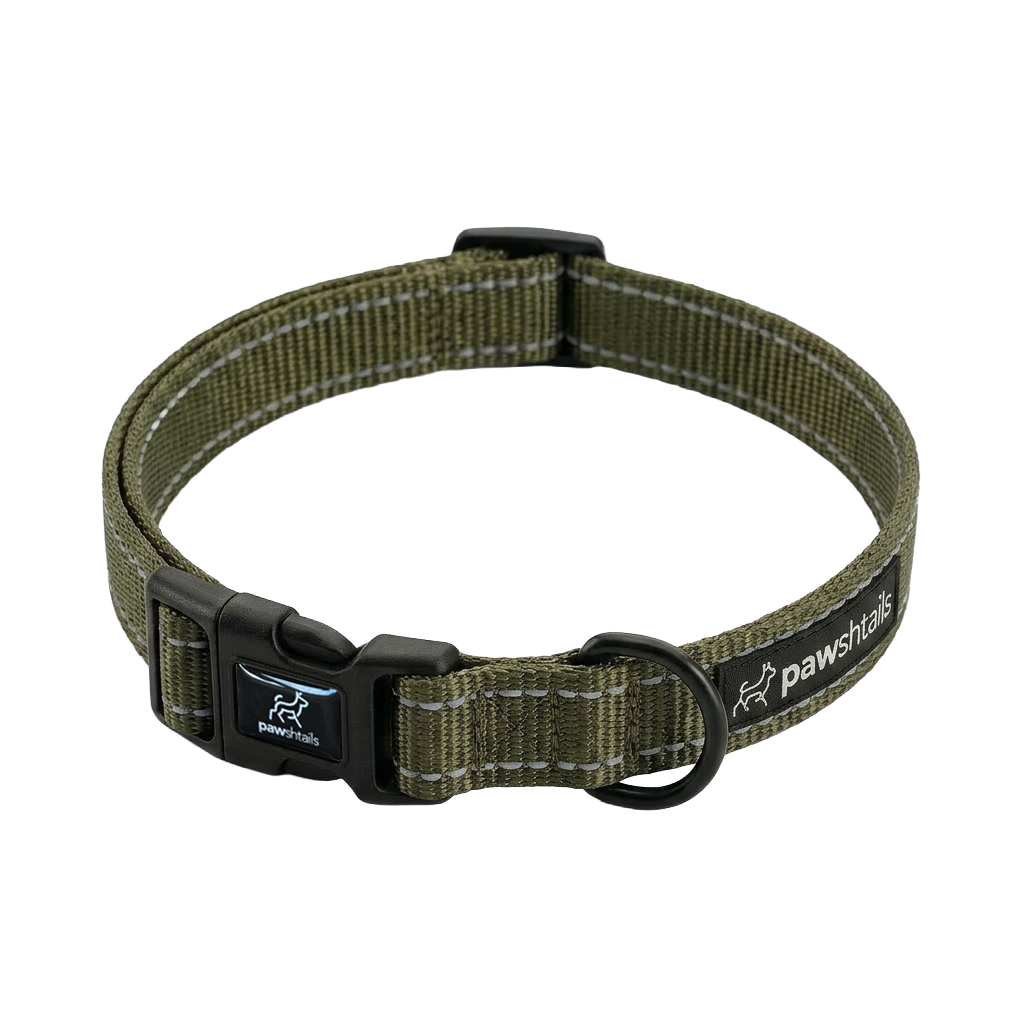 Everyday Dog Collar