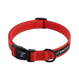 Vivid Orange Everyday Dog Collar