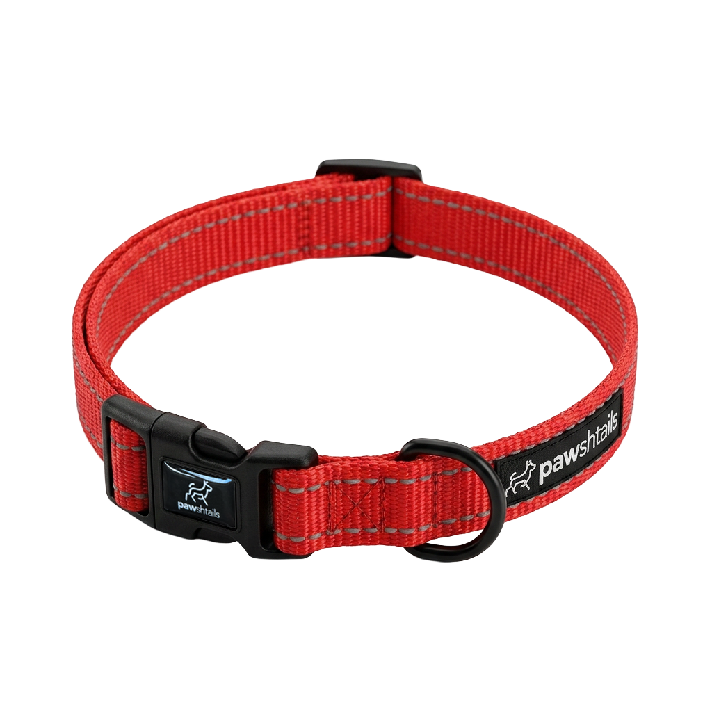 Everyday Dog Collar