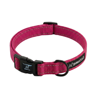 Pink Everyday Dog Collar