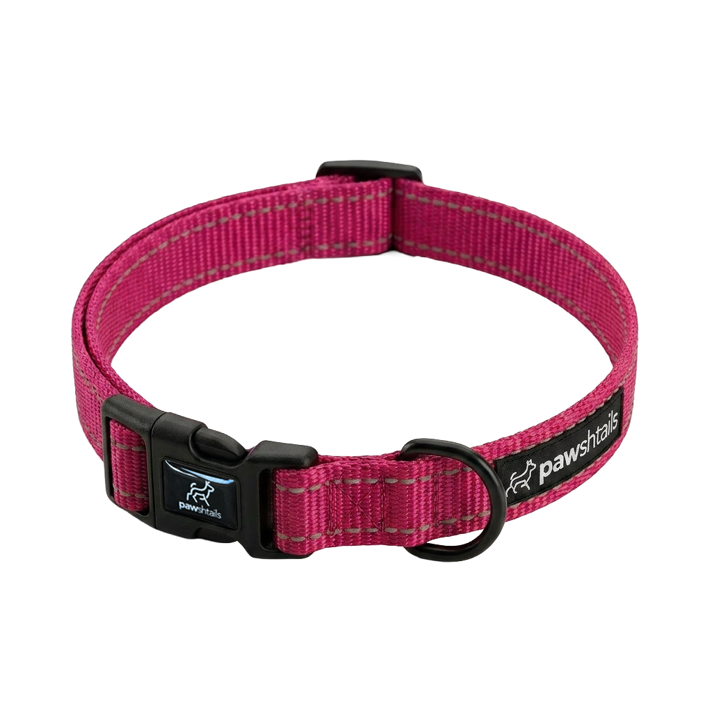 Everyday Dog Collar