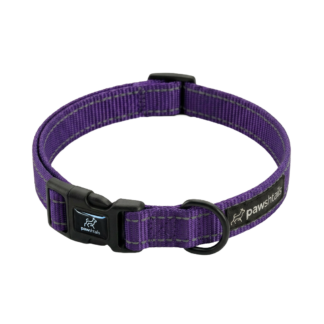 Purple Everyday Dog Collar