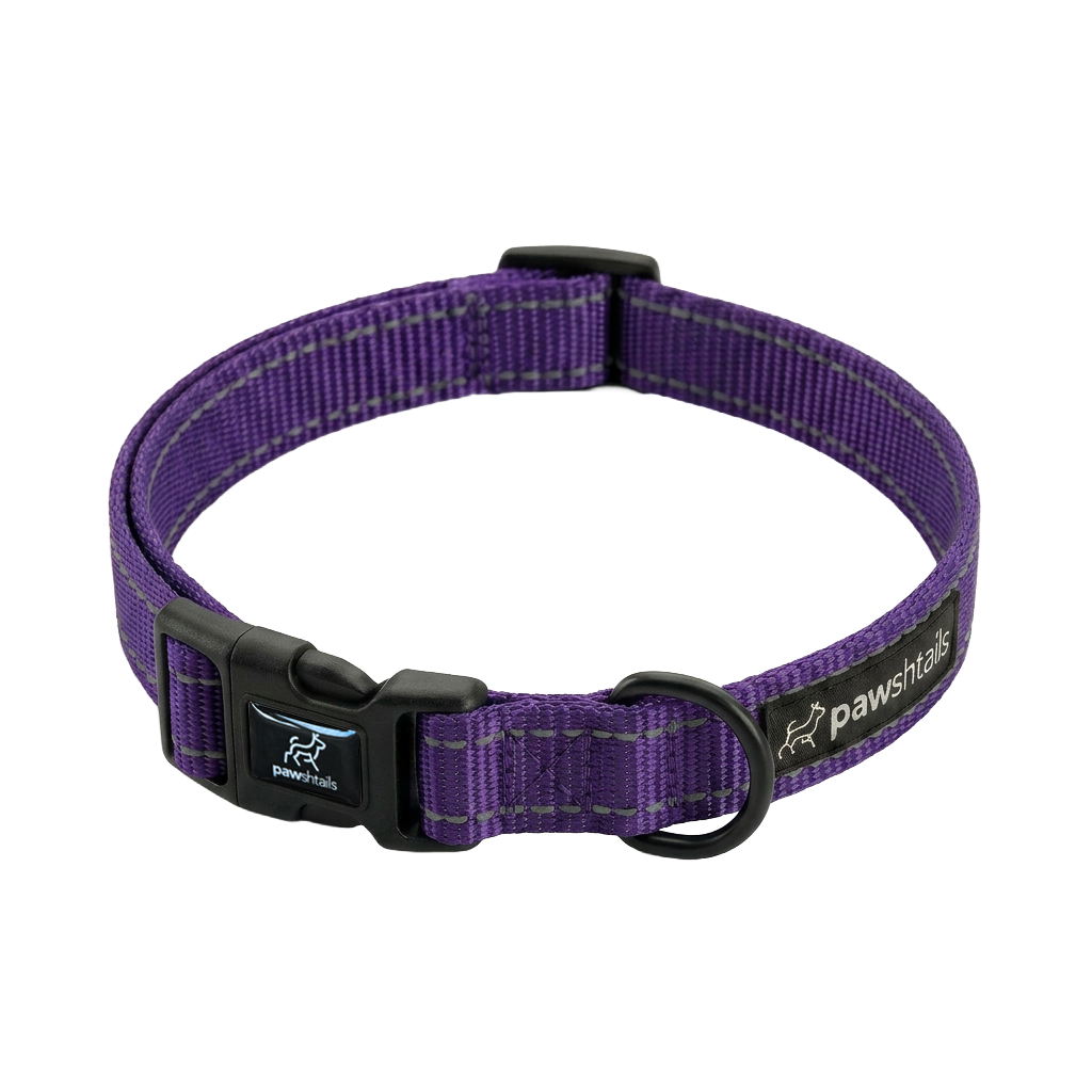 Everyday Dog Collar