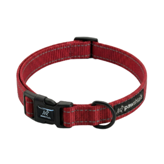 Crimson Red Everyday Dog Collar
