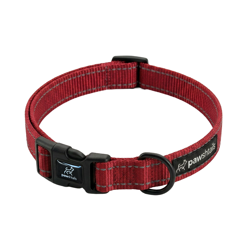 Everyday Dog Collar