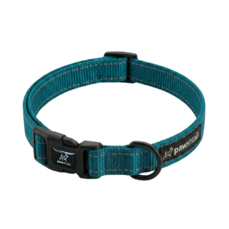 Teal Everyday Dog Collar