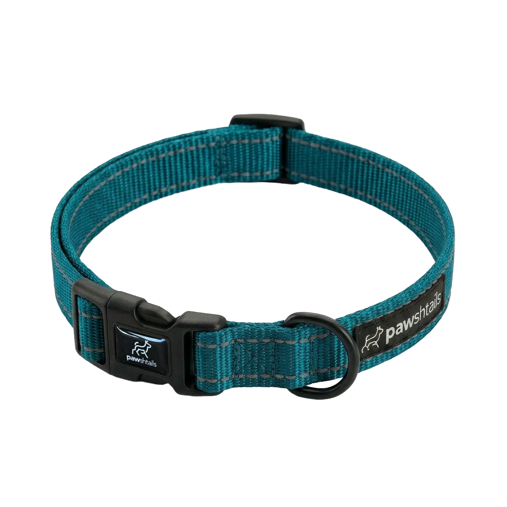 Everyday Dog Collar